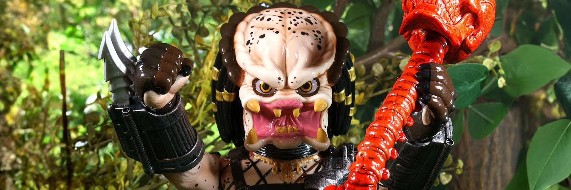 Welcome to Our Store